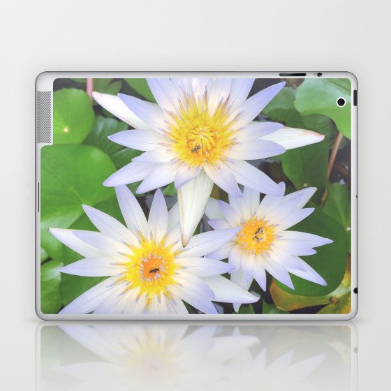 Pretty white water lilies flowers Laptop & iPad Skin