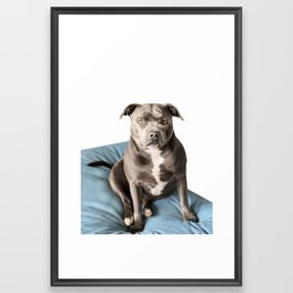 No time for your nonsense Framed Art Print