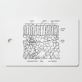 Histology - Leaf cross section Cutting Board