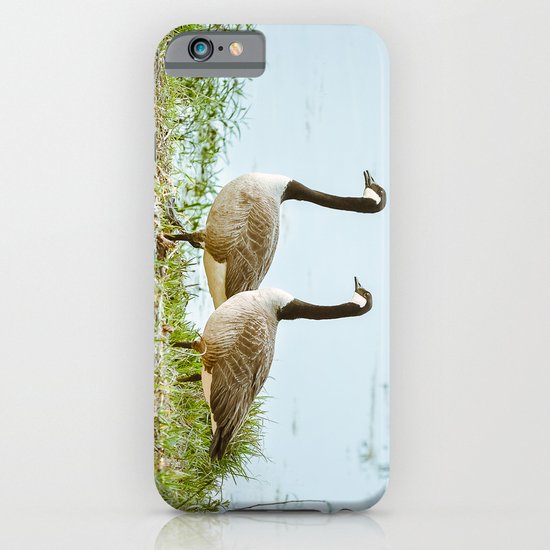 Gazing Geese iPhone & iPod Case