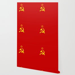 Russian Flag Wallpaper For Any Decor Style Society6