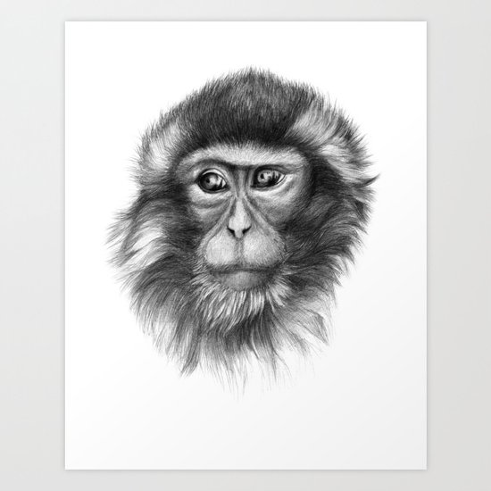 Snow Monkey G2013-069 Art Print