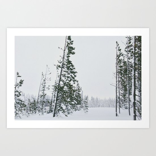 Snowy Silence Art Print