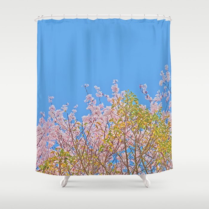 Korea,CherryBlossom,Spring,Niceday,sky Shower Curtain