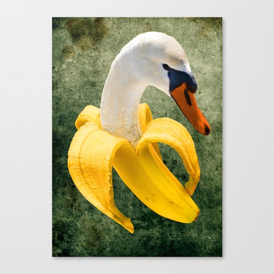 Surprise! Canvas Print