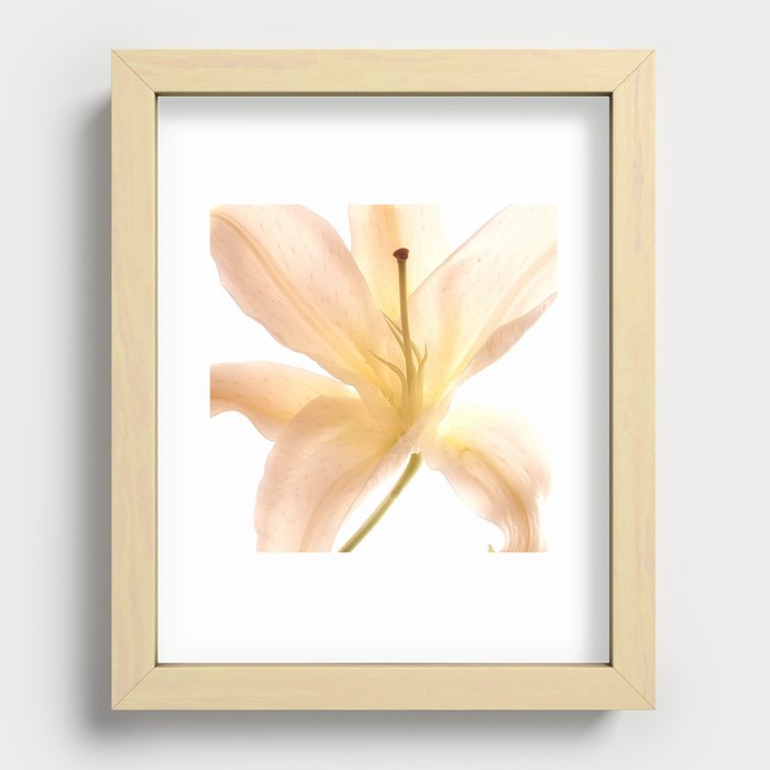 Tropical Glow Recessed Framed Print