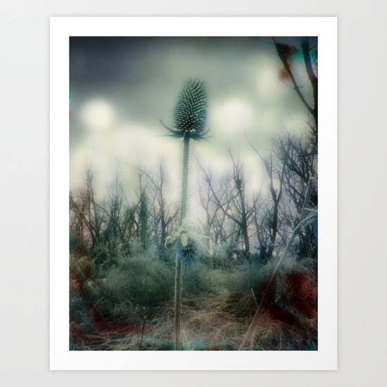 Ice Blue Meadow Art Print