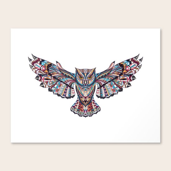 OWL Canvas Print