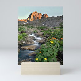 nature Mini Art Print