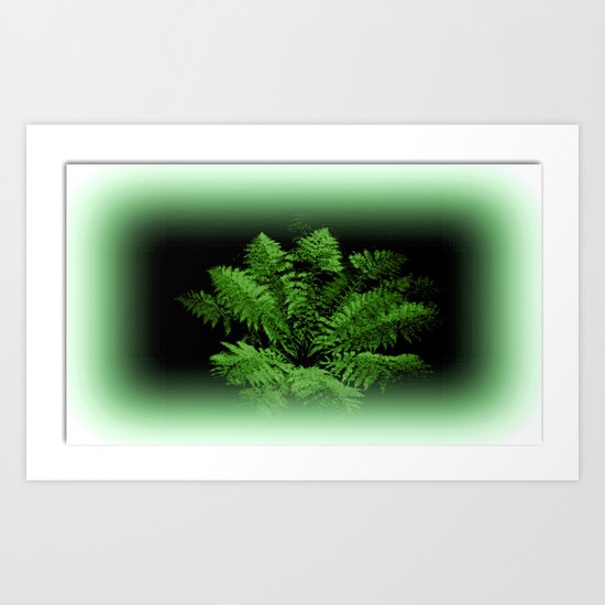 Fern from 30 metres Above! Art Print