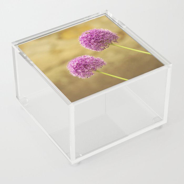 Allium Flowers | Purple Botanical Florals Acrylic Box