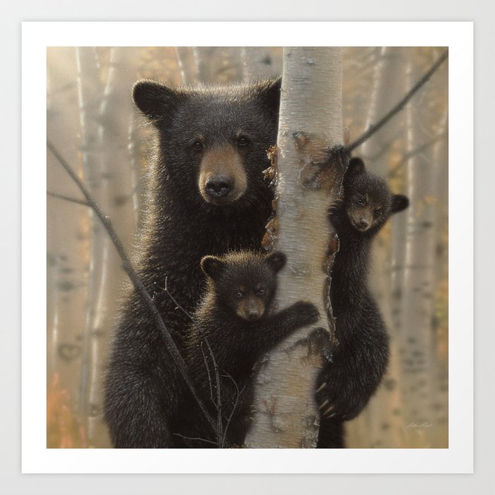 Black Bear Cubs - Mama Bear Art Print