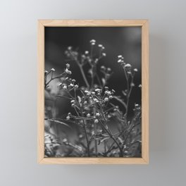 Buds Framed Mini Art Print