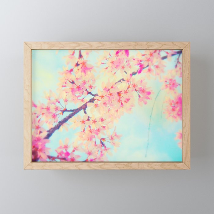 Cherry blossoms Framed Mini Art Print