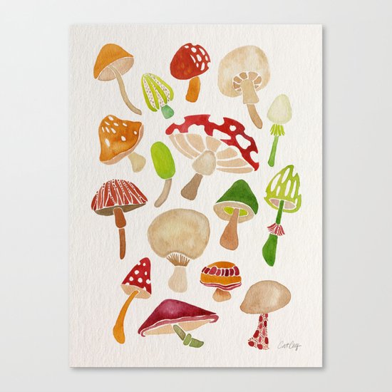Mushrooms Canvas Print