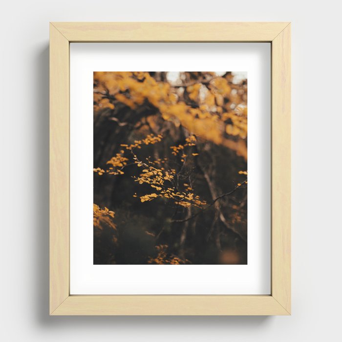 Autumn Gems Recessed Framed Print