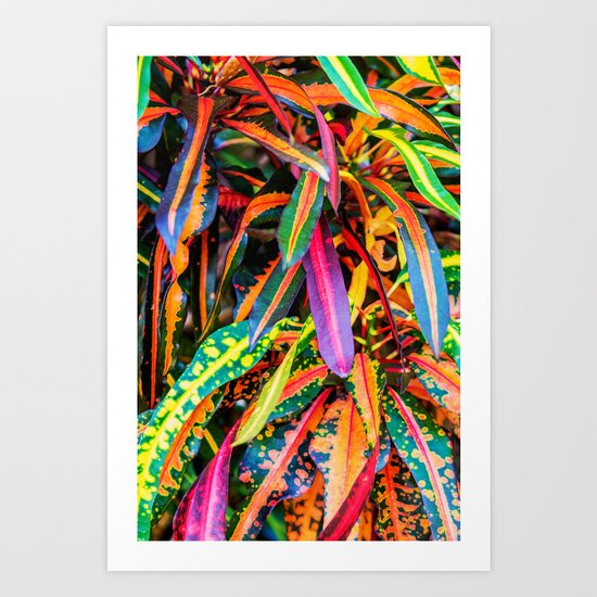 SIMPLY LEAVES Art Print