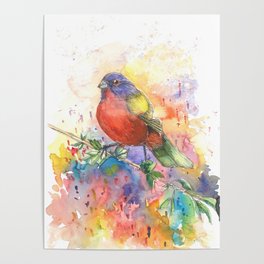 Colorful Bird Poster