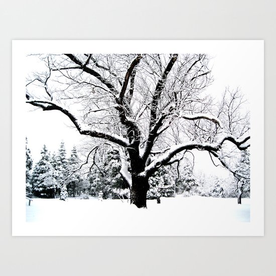 Snow Tree Art Print