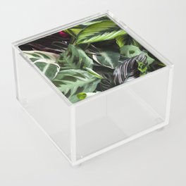 Prayer Plants IV  |  The Houseplant Collection Acrylic Box