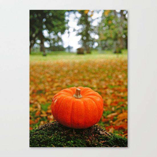 Autumn orange Canvas Print
