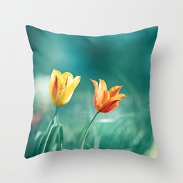 Teal Orange Throw Pillows For Any Room Or Decor Style Society6