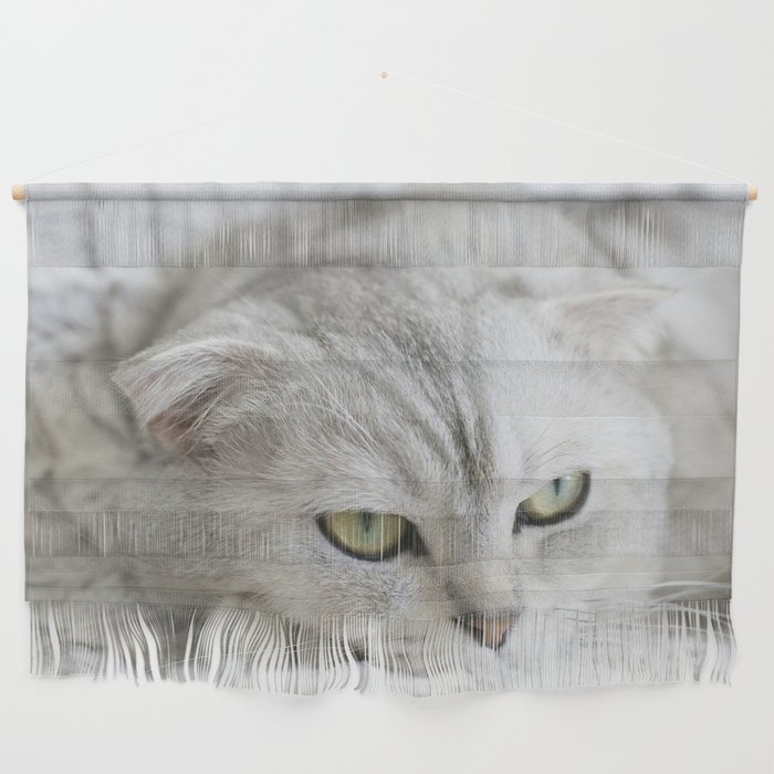 Cute Grey Cat Wall Hanging