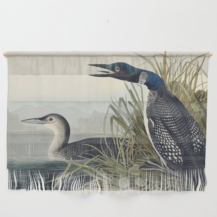 Great Northern Diver or Loon from Birds of America (1827) by John James Audubon  Wall Hanging