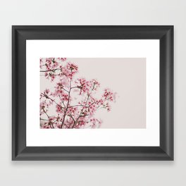 Cherry Blossoms Framed Art Print