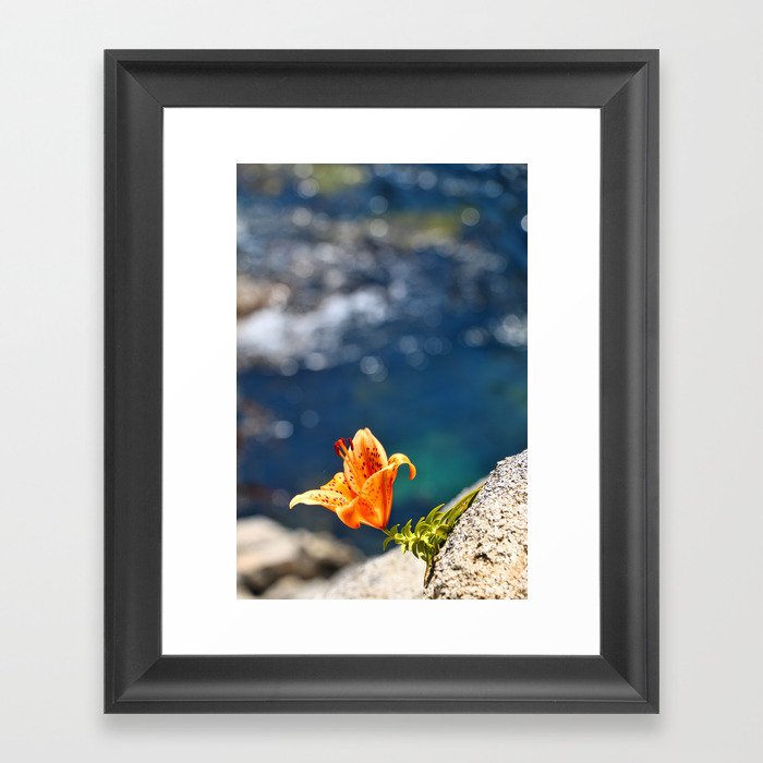Beauty by the Waters Framed Art Print