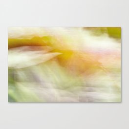 Painting with colours Canvas Print