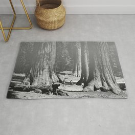 Vintage Walking amid the California Redwood Giants on a sunny forest afternoon nature black and white photograph - photography - photographs Area & Throw Rug