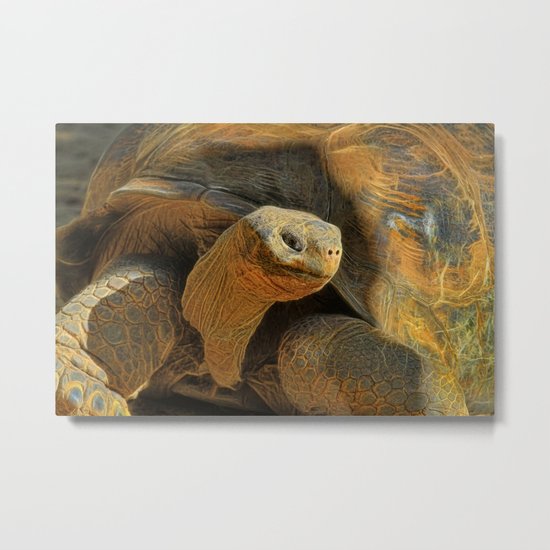 This Old Guy Metal Print