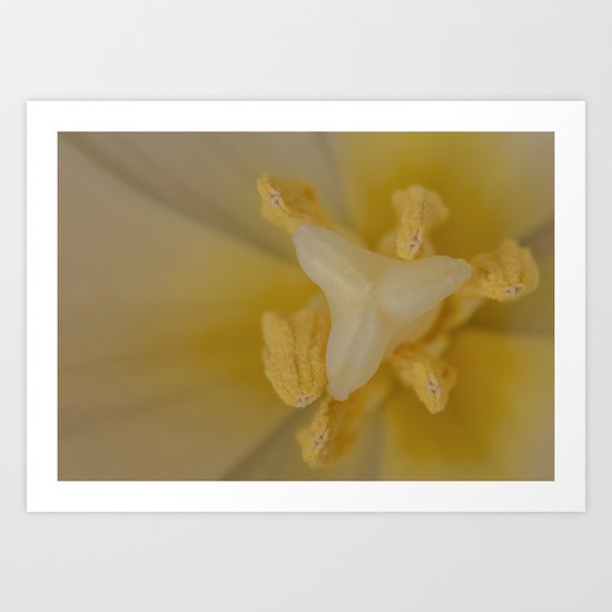 Yella Bella Art Print