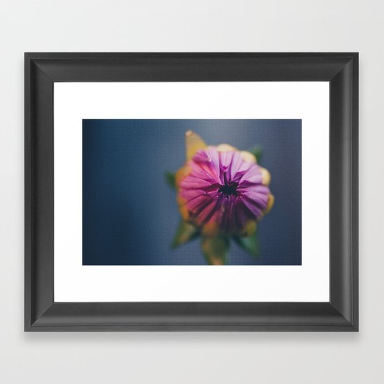 Ready to Bloom, in color Framed Art Print
