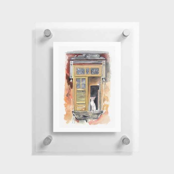 Cat on window N3 Floating Acrylic Print