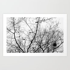 Black-white and Photography Art Prints | Page 3 of 100 | Society6