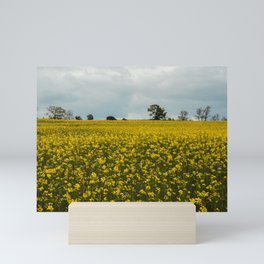 Flower field Mini Art Print