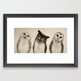 The Owl's 3 Framed Art Print | Owls, Curated, Illustration, Nature, Animal, Drawing, Ink Pen, Graphite, Owl 