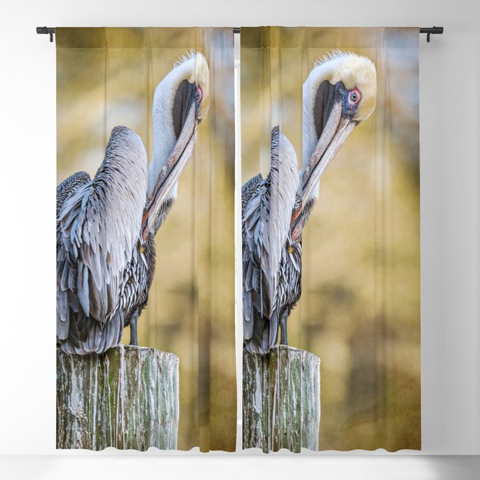 Blackout Curtain