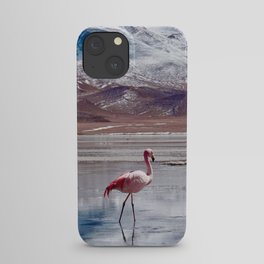 Flamingos in Lagoon in Salt Flats, Bolivia. Salar de Uyuni flamingos. Bolivia.  iPhone Case