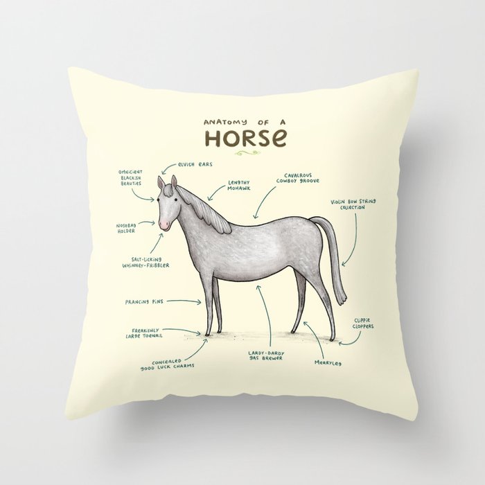 Throw Pillow