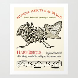 Chris Kluge's  Musical Insects of the World       HARP BEETLE   Lyras Melodicus Art Print
