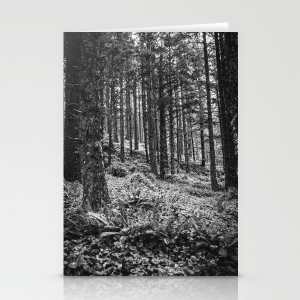 Black and White Forest Stationery Cards