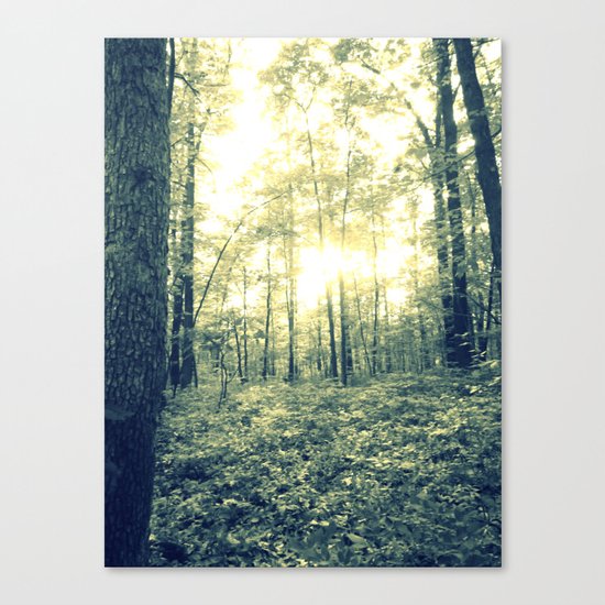 Where Magic Grows Canvas Print
