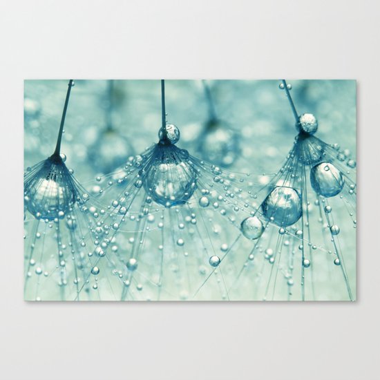 Sparkling Dandy Drops Canvas Print