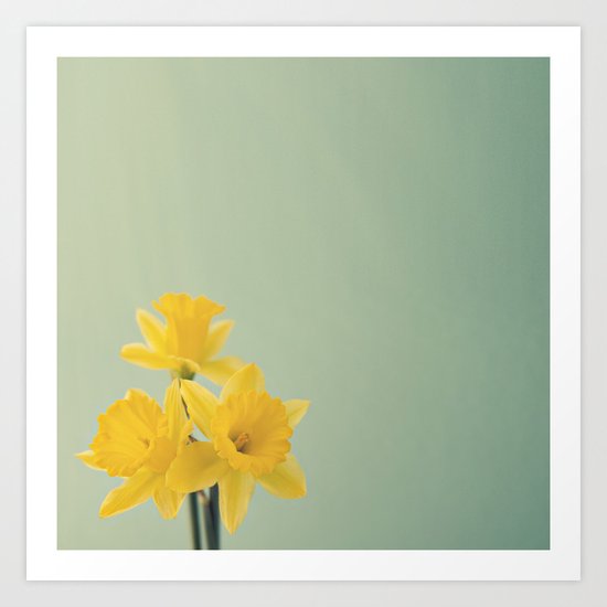 daffodils Art Print