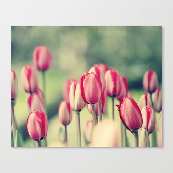 The Garden Canvas Print