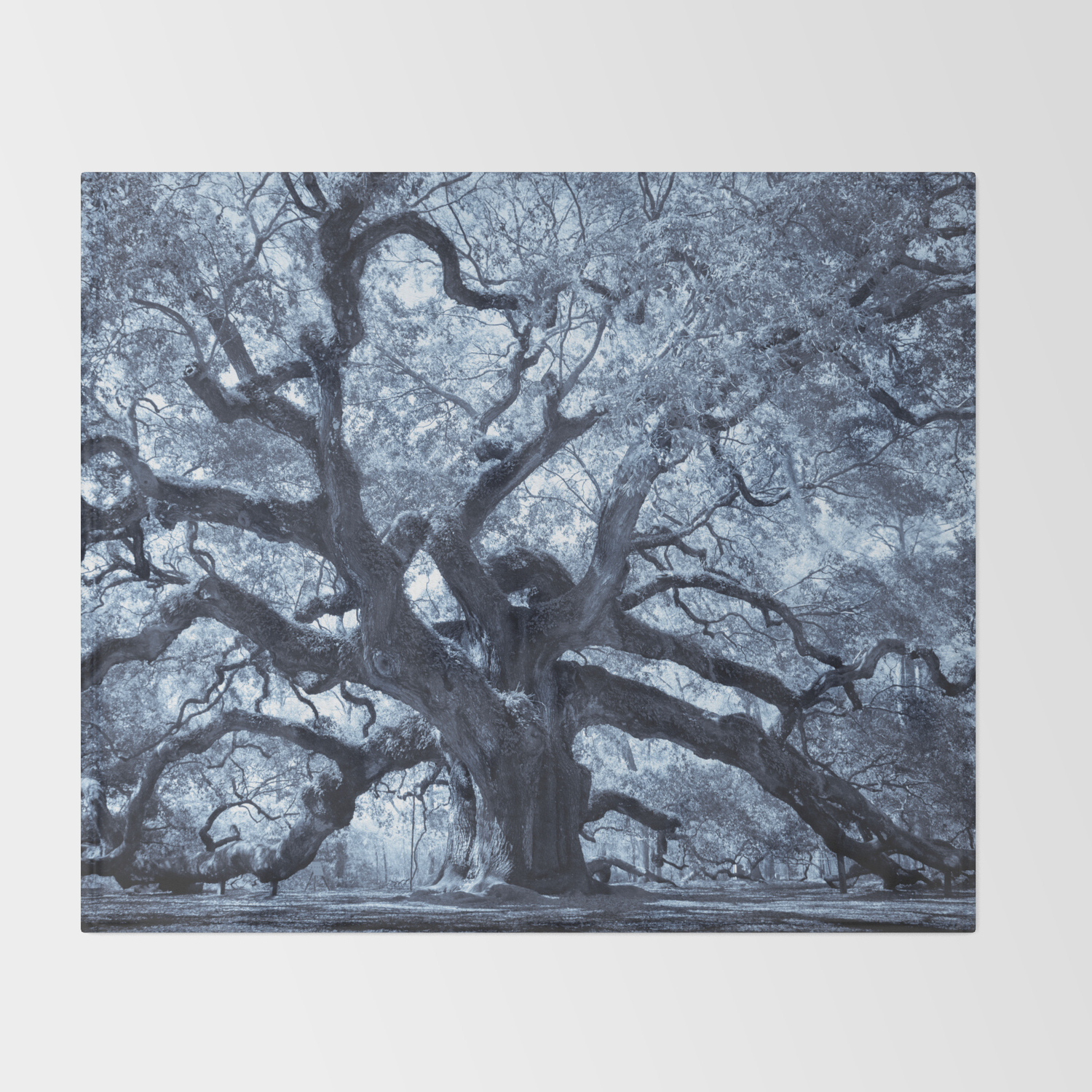 Angel Oak 4 Throw Blanket By Hueandeyephotography Society6