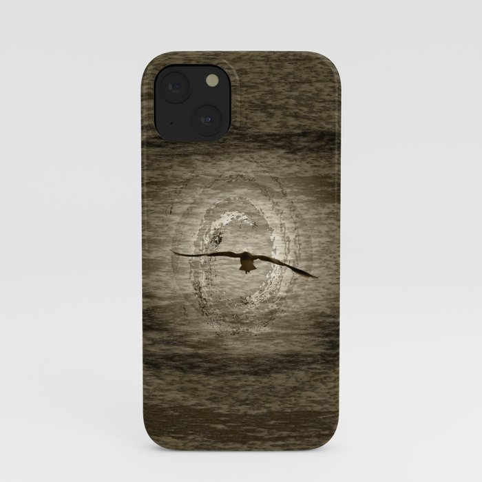 China Collection  iPhone Case